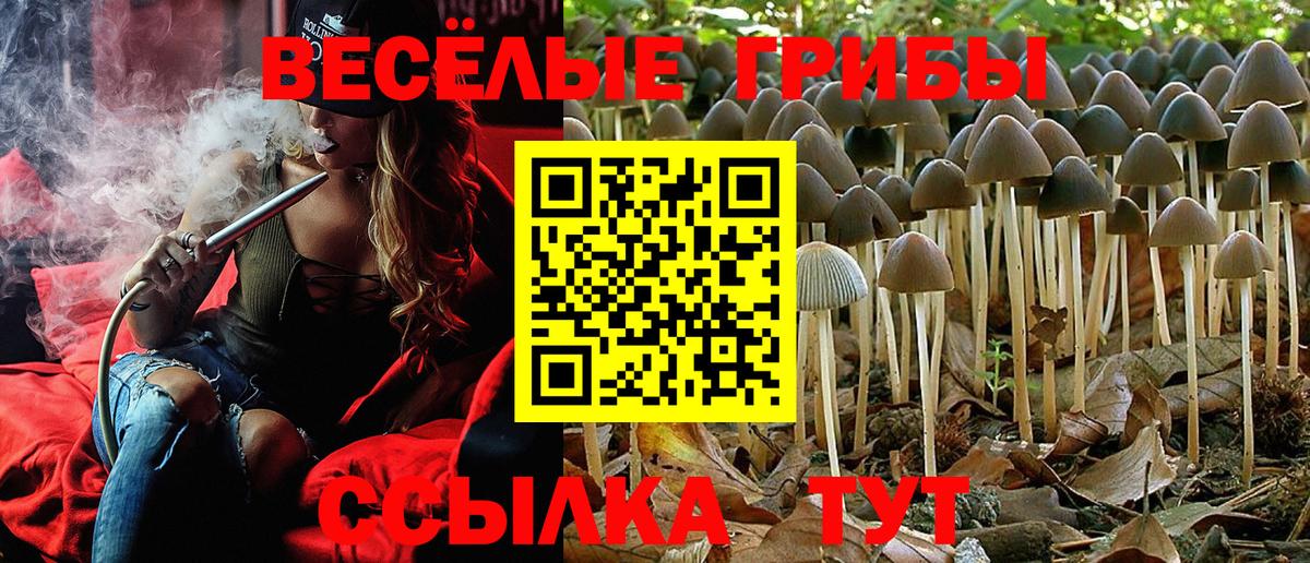 Галлюциногенные грибы GOLDEN TEACHER  Вход с VPN  Псилоцибиновые грибы мицелий  Дальнегорск 